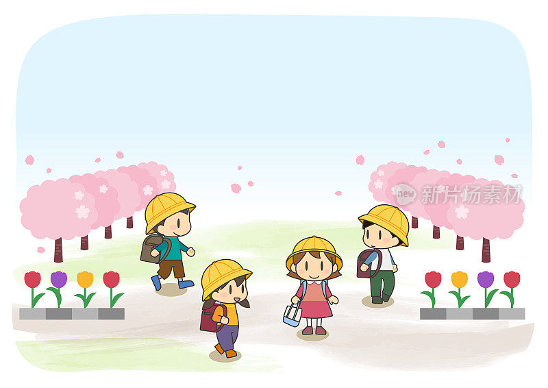 小学生在去学校的路上，背景是樱花树和郁金香