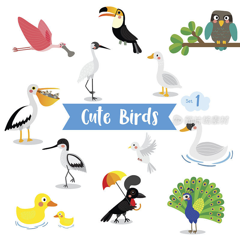 鸟动物卡通上的白色背景矢量插图。组1