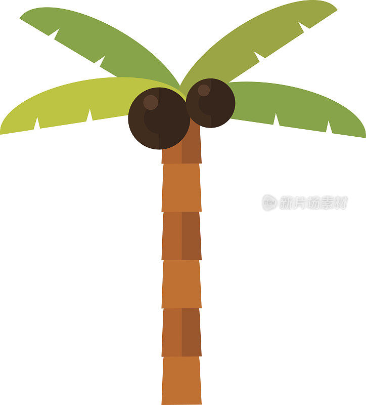 棕榈孤立的向量。