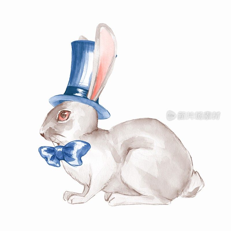 白兔,水彩