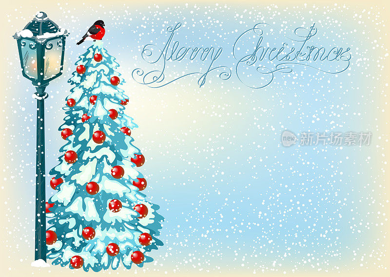 圣诞复古灯笼与毛皮树和红腹灰雀在傍晚的景观背景与雪