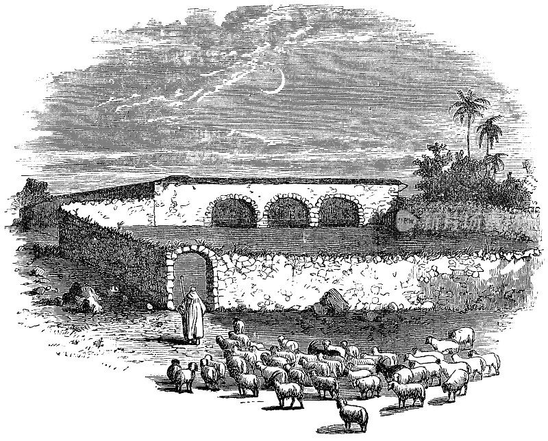 19世纪，巴勒斯坦-奥斯曼帝国西岸，牧羊人把羊群赶进羊圈