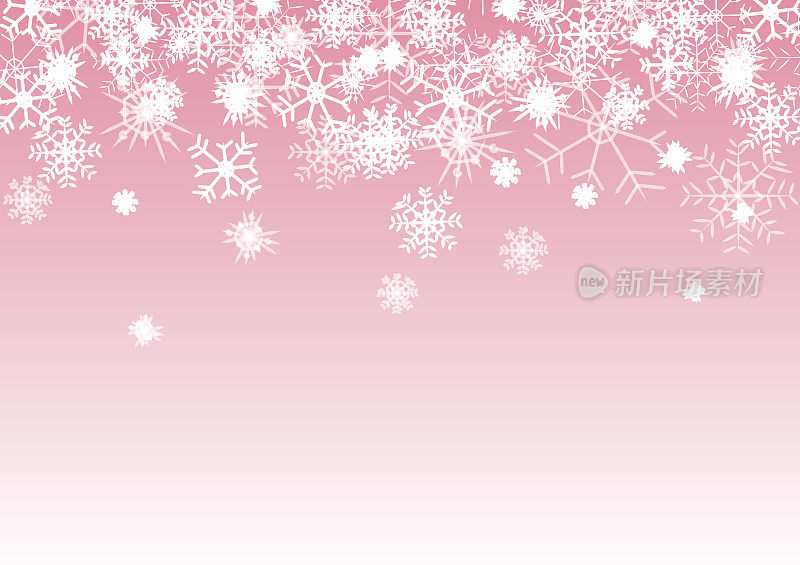 圣诞节冬天飘落的雪花在粉红色的背景