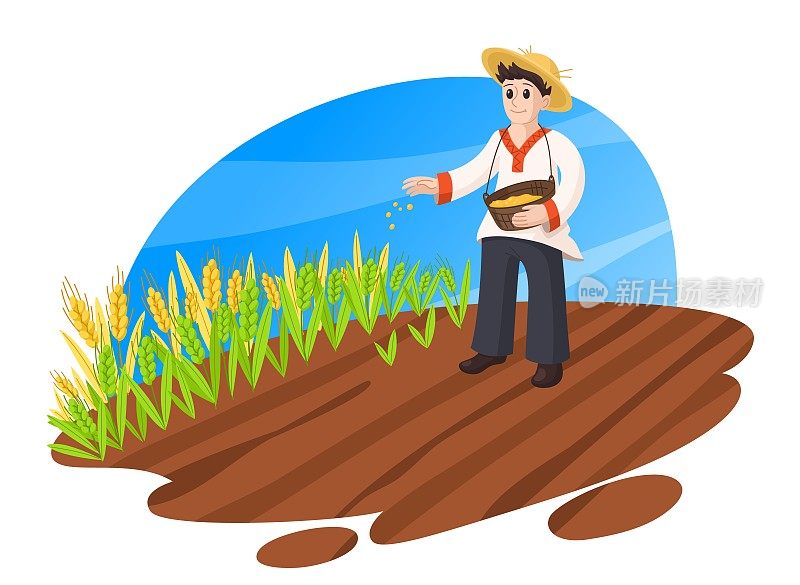 农民在麦田里播种小麦。农业卡通及农业平面概念插画。孤立在白色背景上。