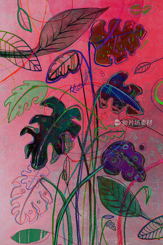 这是抽象的怪物植物吗?