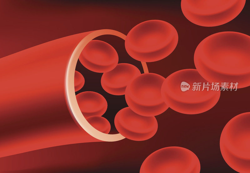 红细胞在血管中的流动