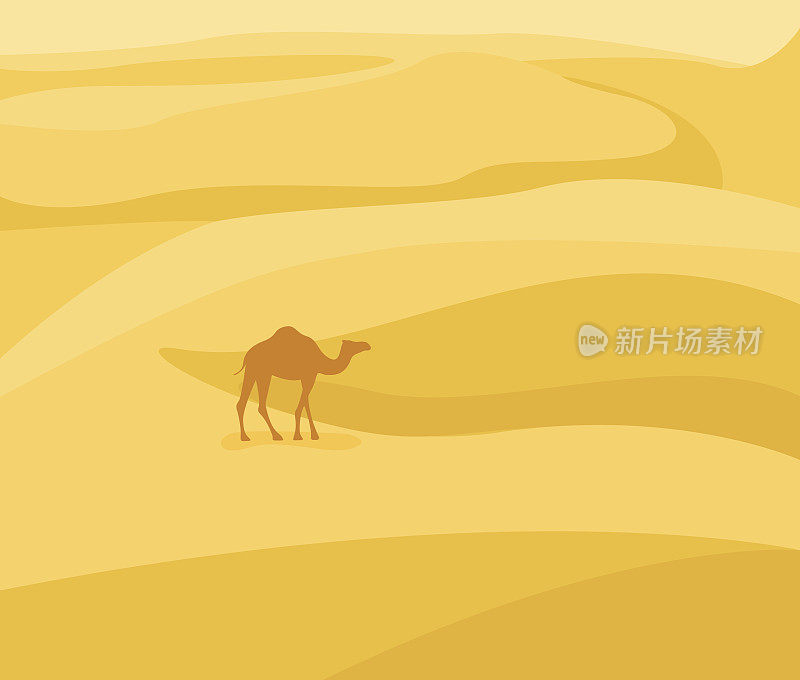 走进沙漠:沙漠景观。在沙地背景上的骆驼剪影。矢量插图在平面风格。