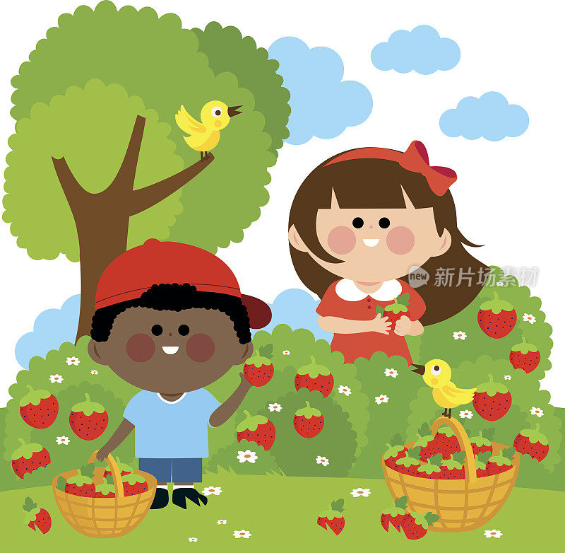 孩子们采摘草莓