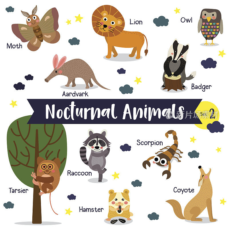 夜间动物卡通与动物的名字矢量插图。组2