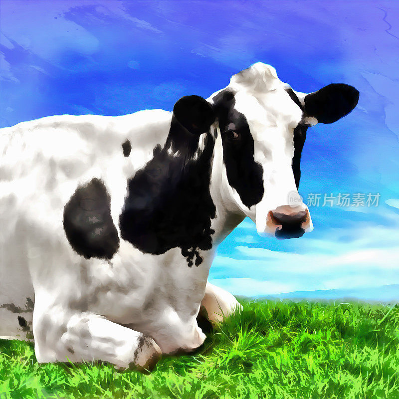 牛的插图。牛。牛水彩插图
