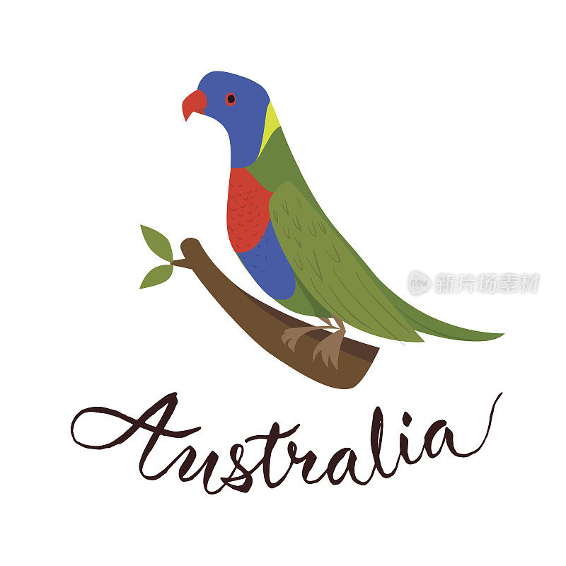 澳大利亚的鸟。