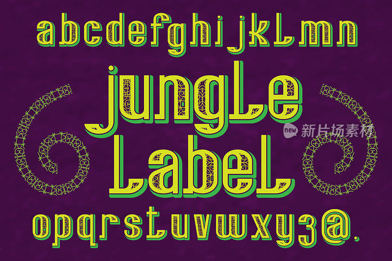 丛林标签字体。装饰字体。孤立的英文字母。