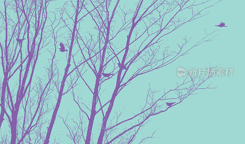 乌鸦在冬天的树上飞翔和降落