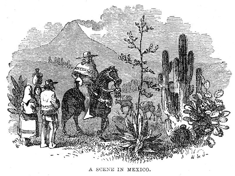 1871年的墨西哥版画