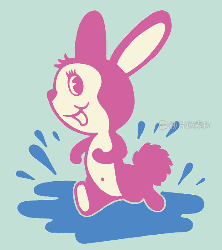 可爱的兔子跑过水坑