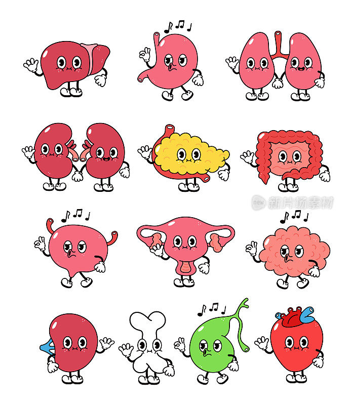 快乐的人体内脏。卡通人体器官心、肝、胃、肺、肾、胰、肠、膀胱、子宫、脑、脾、骨、胆囊。内部器官复古插图集