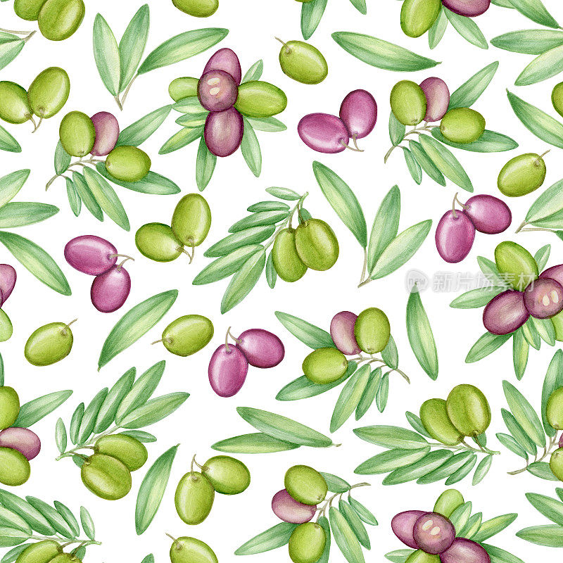 橄榄无缝图案与橄榄枝和水果的意大利菜设计或特级初榨油食品或化妆品包装包装。手绘。水彩。