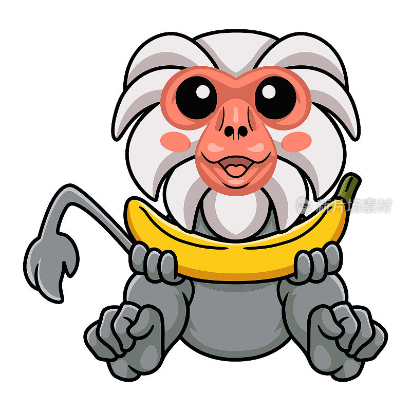 可爱的小hamadryad卡通猴拿着香蕉