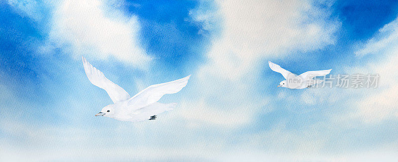 水彩画的风景，蓝天白云和白海鸥