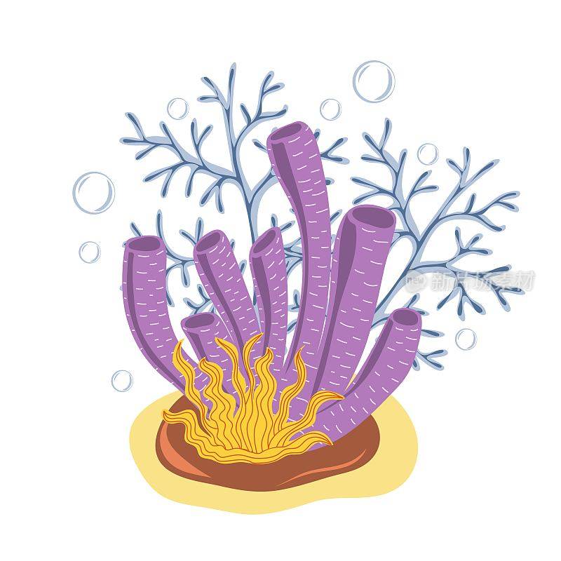 珊瑚和海藻。植物插图