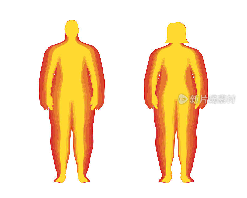BMI分类测量信息图集概念。男女身体质量指数水平。组合人的体重从超重到过轻不等。矢量图