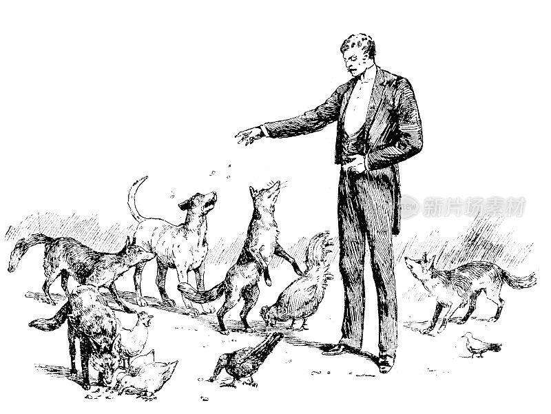 《动物驯养的奇迹》，博内蒂教授在他和平的动物家庭中