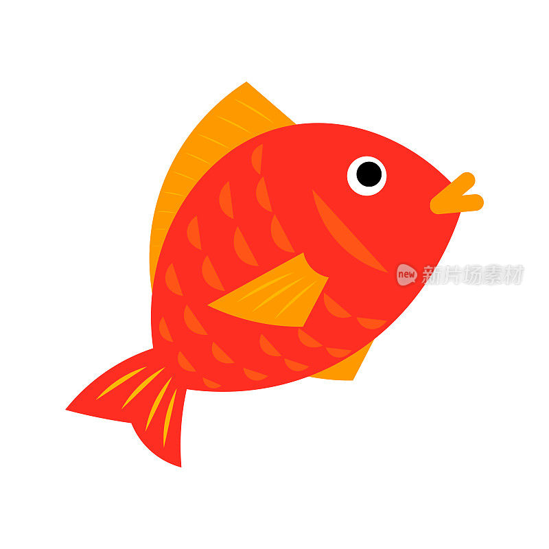 日本鲷鱼。