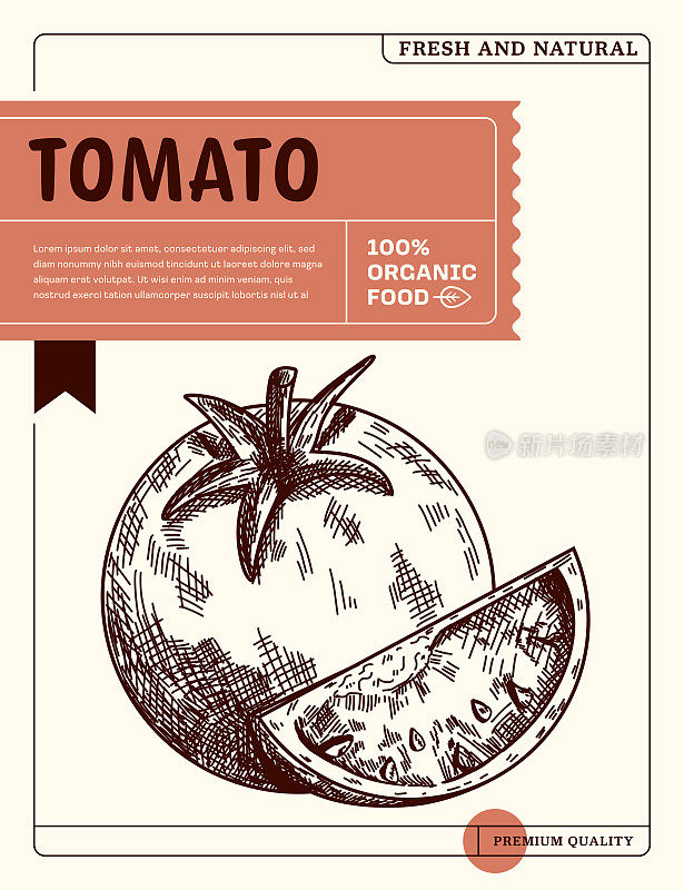 有机番茄草图图标包装设计模板