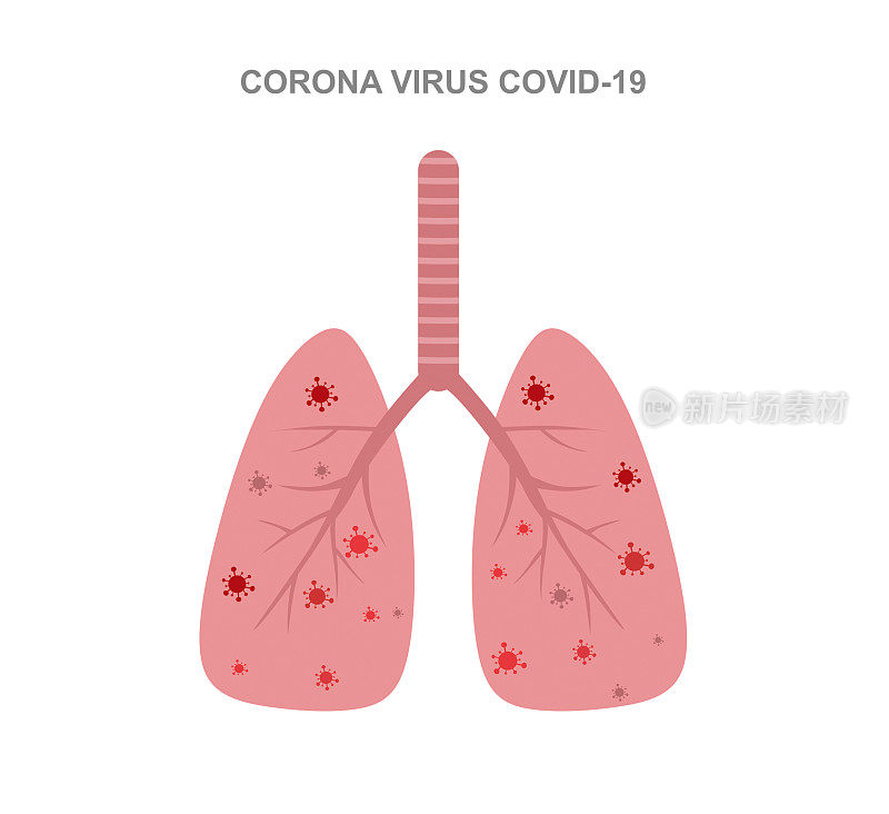 人肺部的冠状病毒