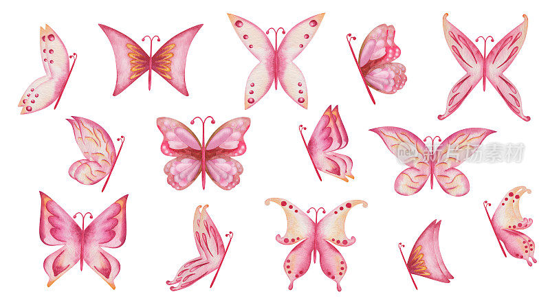 水彩插图手绘粉红色，黄色蝴蝶与展开的翅膀。飞虫是自然界的飞蛾