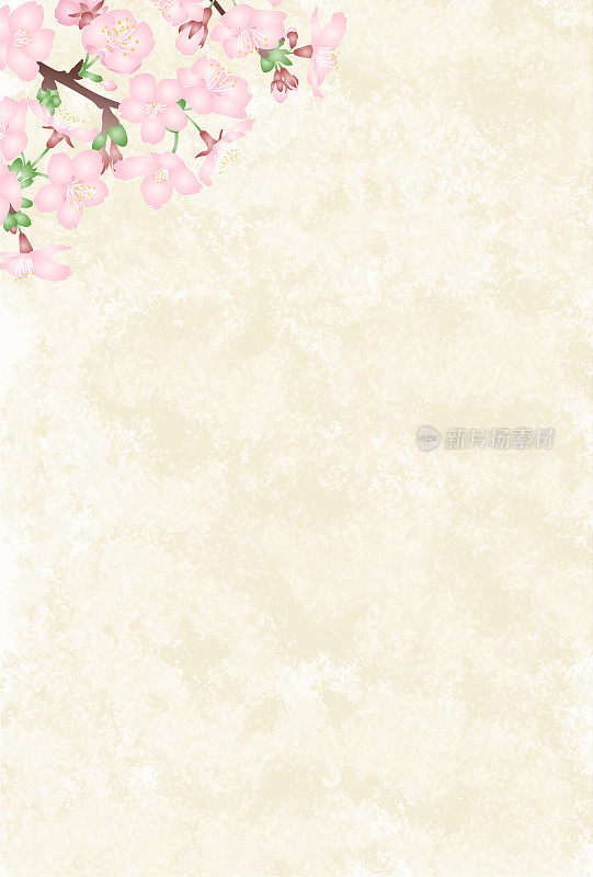 日本风格的三维樱花矢量插图与日本纸张风格的背景渐变。明信片大小，竖版。