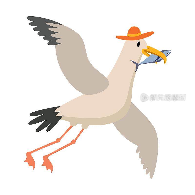 海鸥飞巢卡通插画。有趣的鸟，戴着帽子，嘴里叼着鱼，在白色的背景上飞翔