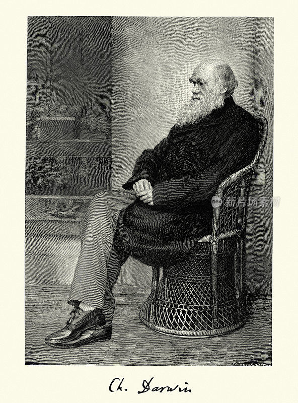 查尔斯・达尔文的肖像