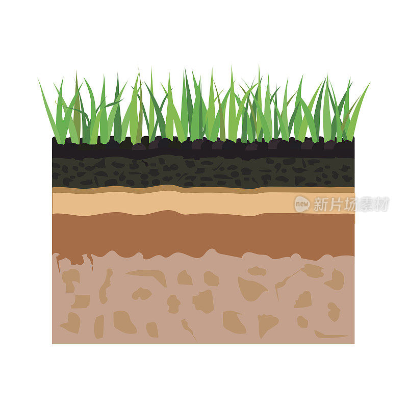 有草的土层