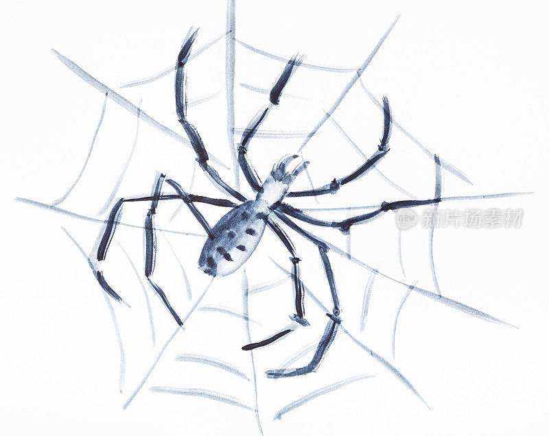 蜘蛛在白纸上织网