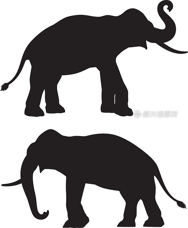 大象轮廓