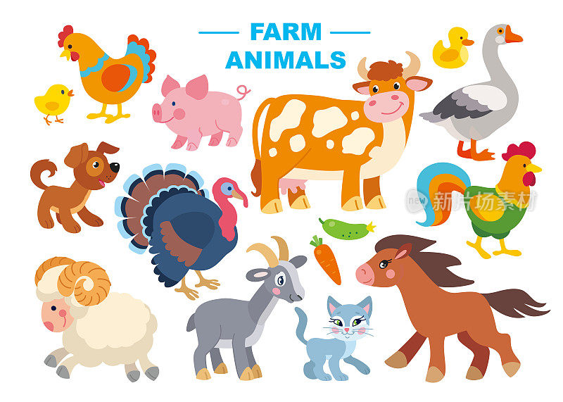 一套可爱的农场动物和鸟类矢量插图。平面卡通动物形象:鸡、公鸡、火鸡、牛、山羊、马、鹅、鸭、狗、猫、猪、猪、羊。