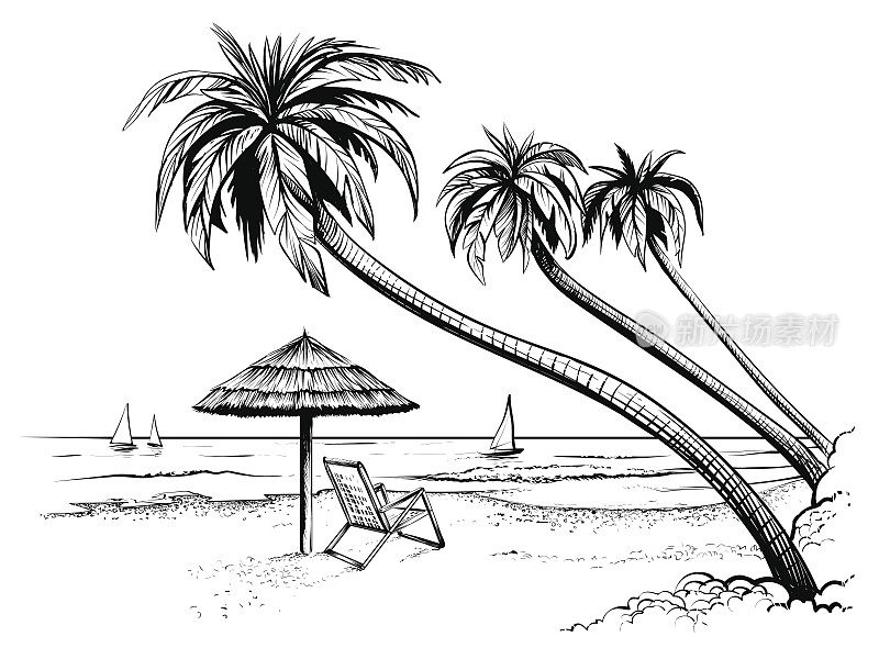 大海或沙滩和棕榈树，素描。