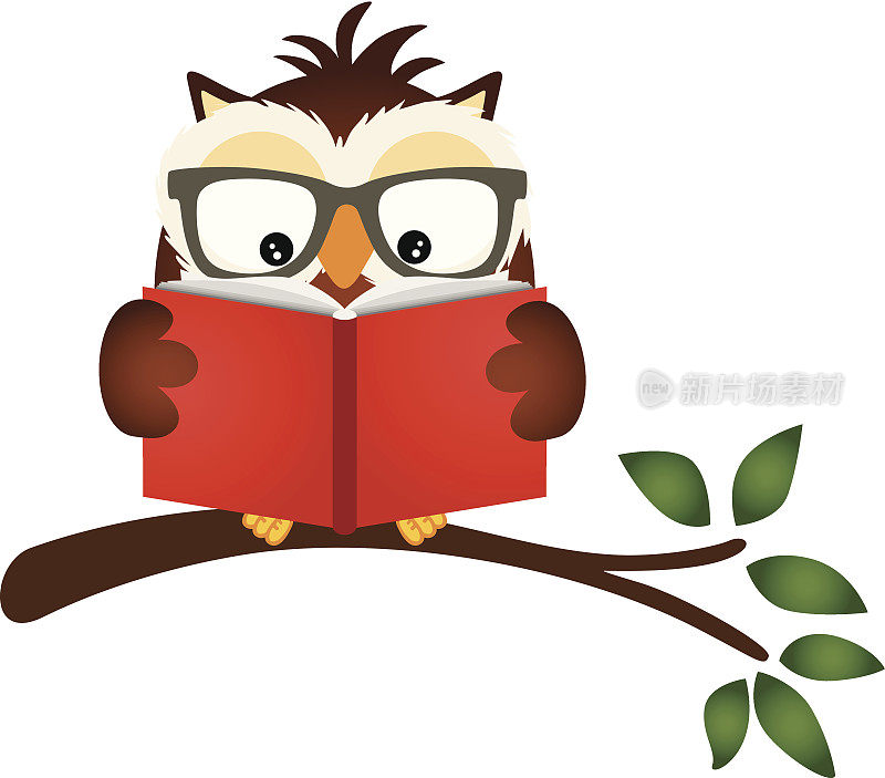 猫头鹰在树枝上看书