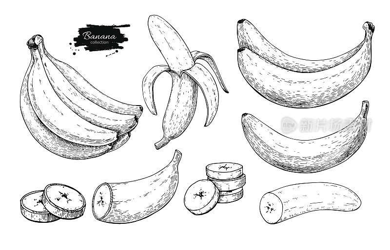 香蕉集合向量绘图。孤立手抽串，剥香蕉切片