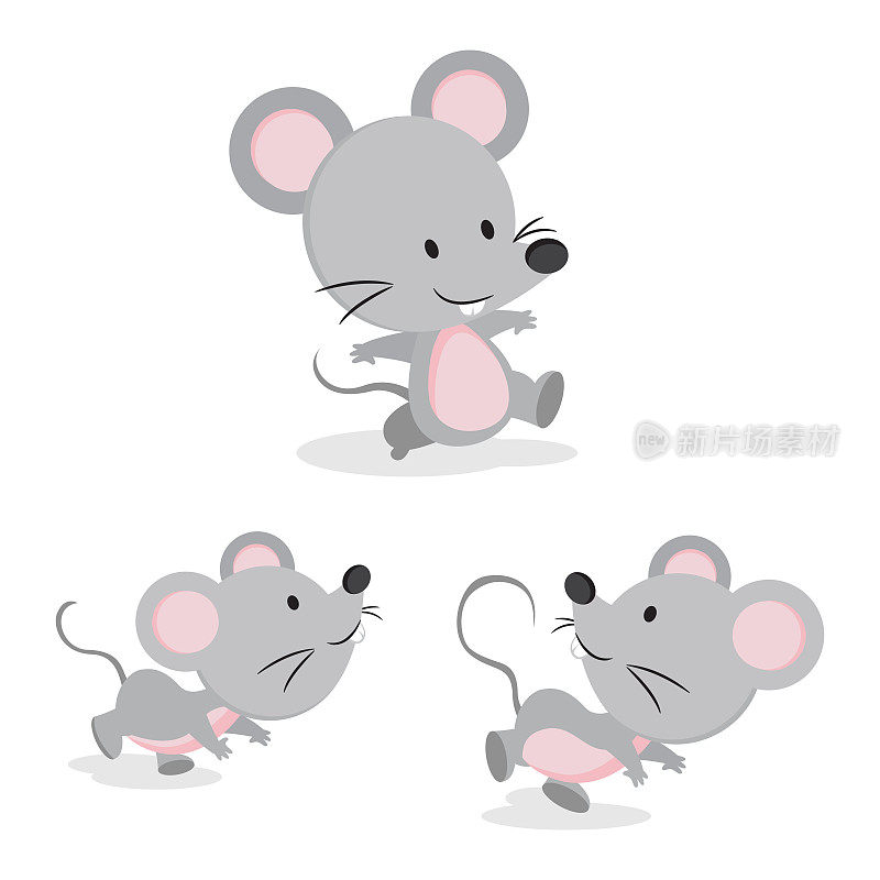 可爱的老鼠在不同的姿势