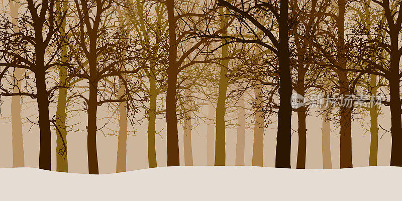 矢量插图的冬天森林没有树叶与雪和朦胧的背景