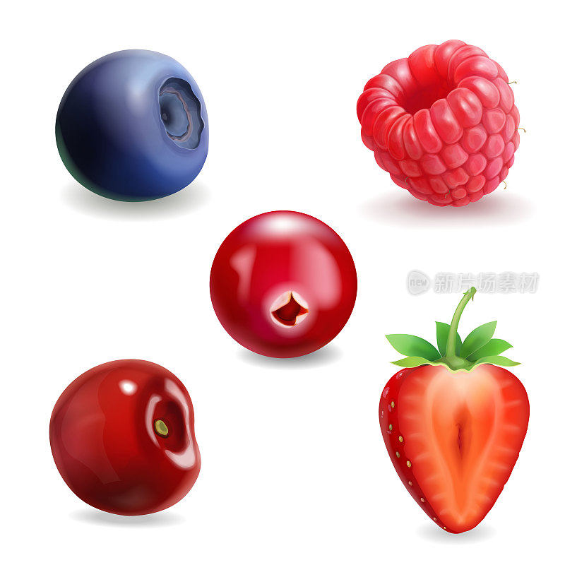 现实的浆果。草莓，覆盆子，蓝莓，樱桃，黑醋栗插图