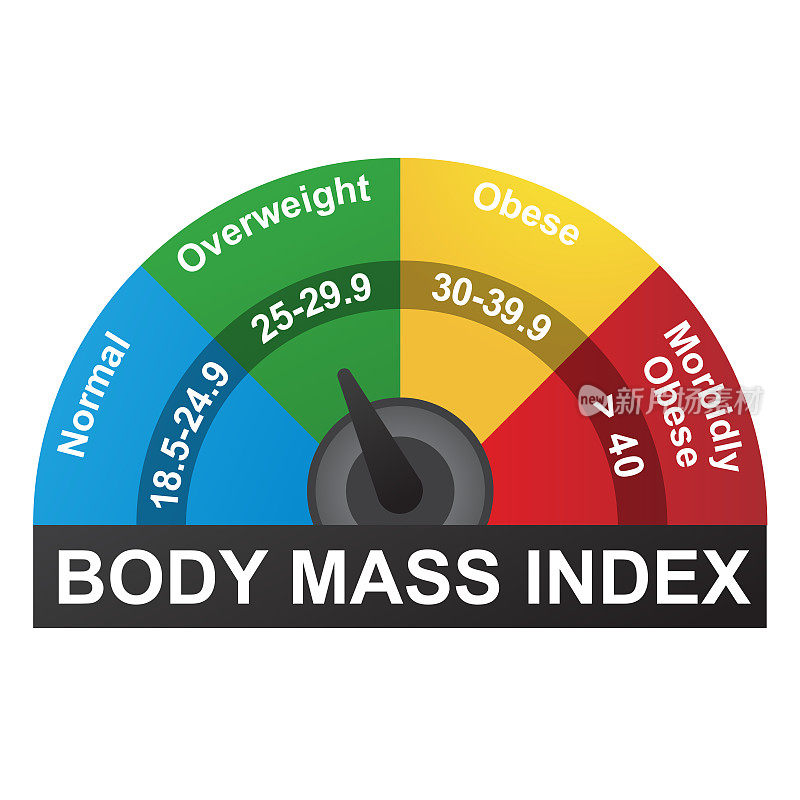 BMI或身体质量指数信息图表
