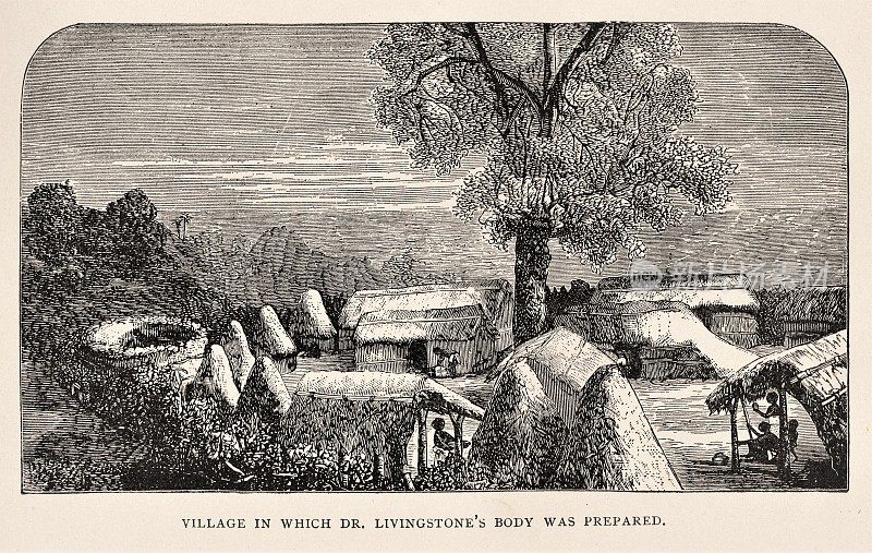 19世纪非洲，利文斯顿博士的心脏被埋在赞比亚村