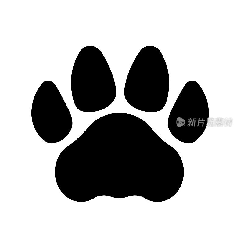 老虎或猫的脚印。爪印。向量模板。插图孤立在白色背景上。