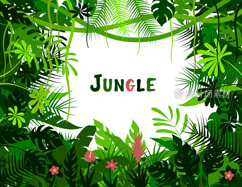 热带雨林的背景。丛林框架海报。
