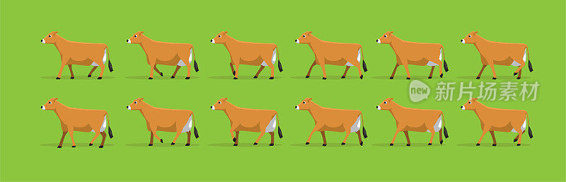 动物动画奶牛泽西行走卡通矢量插图