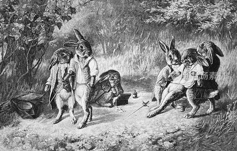 两只兔子打架,拟人化的概念