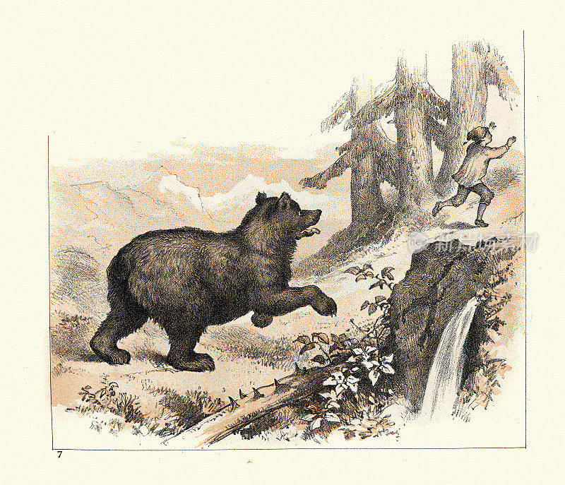 在瑞士山上追逐男孩的熊，维多利亚时代19世纪80年代